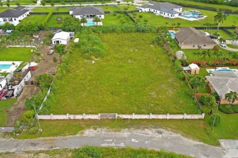 Land in Homestead, Florida № 1836801 - photo 2
