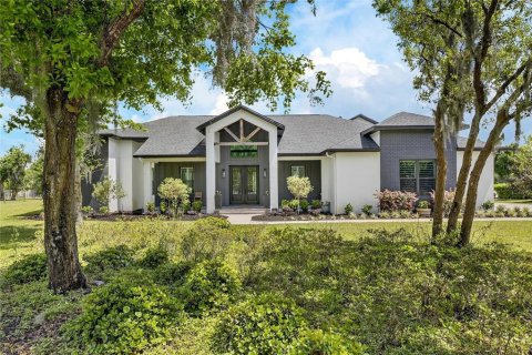 House in Wimauma, Florida 4 bedrooms, 311.32 sq.m. № 2098187