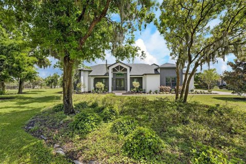 Villa ou maison à vendre à Wimauma, Floride: 4 chambres, 311.32 m2 № 2098187 - photo 2