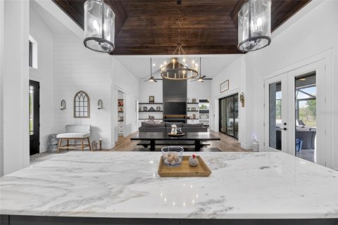 Villa ou maison à vendre à Wimauma, Floride: 4 chambres, 311.32 m2 № 2098187 - photo 16