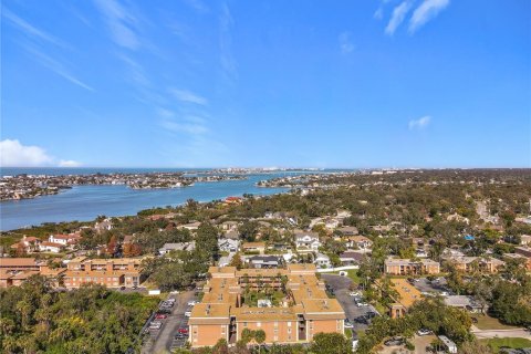 Condo in Largo, Florida, 1 bedroom  № 2232626 - photo 25