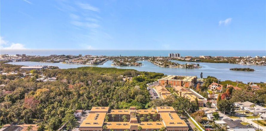 Condo in Largo, Florida, 1 bedroom  № 2232626