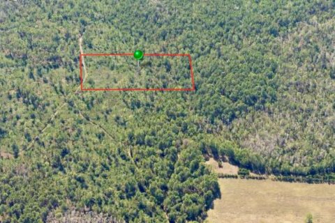 Land in DeLand, Florida № 2373732