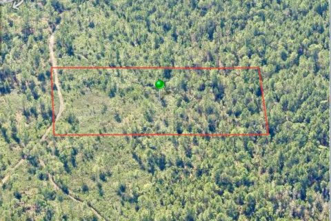 Land in DeLand, Florida № 2373732 - photo 2