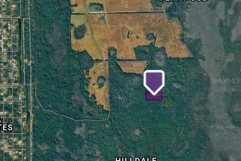 Land in DeLand, Florida № 2373732 - photo 3