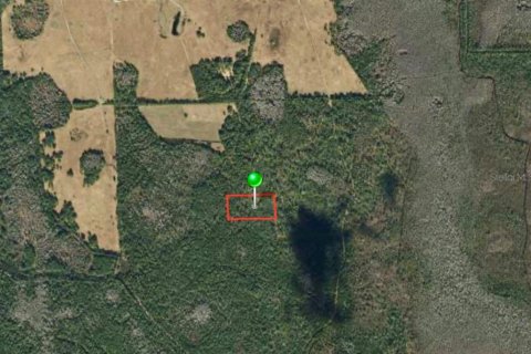 Land in DeLand, Florida № 2373732 - photo 5