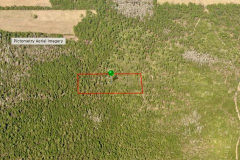 Land in DeLand, Florida № 2373732 - photo 10