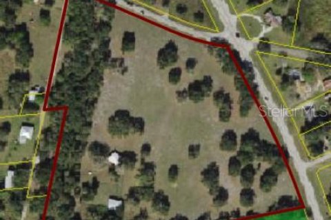 Land in Arcadia, Florida № 214981 - photo 3