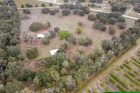 Land in Arcadia, Florida № 214981 - photo 5
