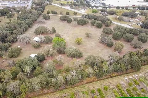Land in Arcadia, Florida № 214981 - photo 4