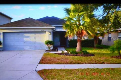Casa en alquiler en Land O' Lakes, Florida, 4 dormitorios, 144 m2 № 1911569 - foto 1