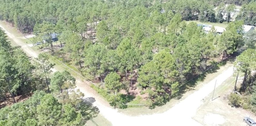 Terreno en Ocala, Florida № 1717144