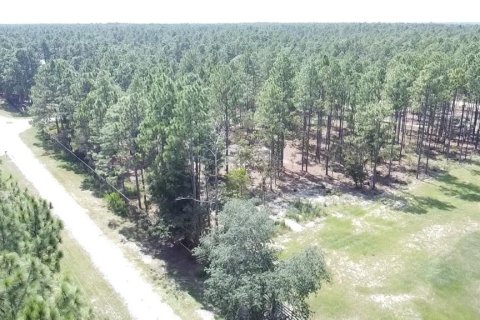 Terrain à vendre à Ocala, Floride № 1717144 - photo 11