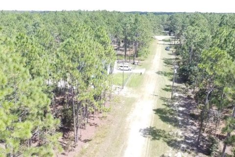 Terrain à vendre à Ocala, Floride № 1717144 - photo 8