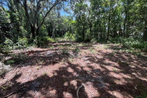 Casa en venta en Auburndale, Florida, 3 dormitorios, 214.05 m2 № 2227682 - foto 5