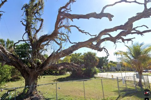 Terrain à vendre à Miami, Floride № 1985245 - photo 2