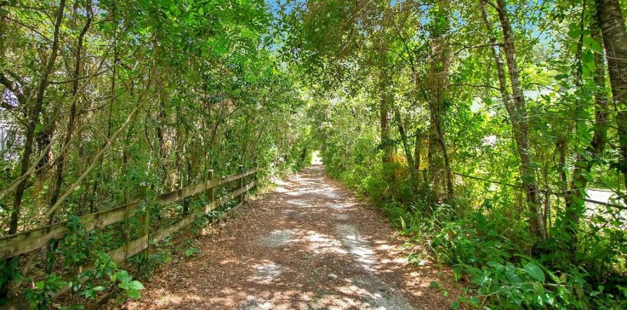 Land in Orlando, Florida № 1675295