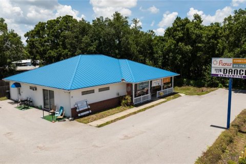 Propiedad comercial en venta en Riverview, Florida № 2096651 - foto 4