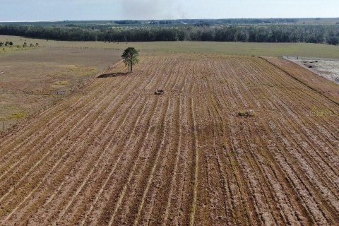 Terreno en venta en Fort Meade, Florida № 1564178 - foto 9