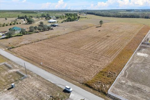 Terreno en venta en Fort Meade, Florida № 1564178 - foto 2