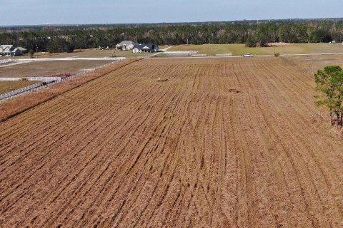 Terreno en venta en Fort Meade, Florida № 1564178 - foto 11
