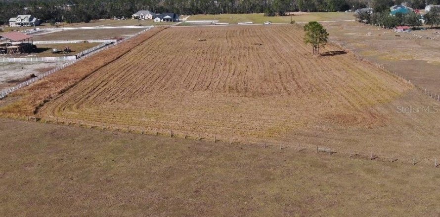 Terreno en Fort Meade, Florida № 1564178