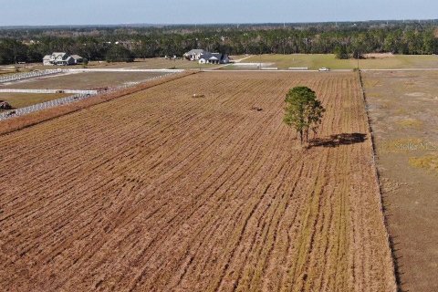Terreno en venta en Fort Meade, Florida № 1564178 - foto 3