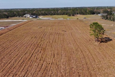 Terreno en venta en Fort Meade, Florida № 1564178 - foto 8