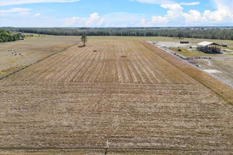 Terreno en venta en Fort Meade, Florida № 1564178 - foto 12