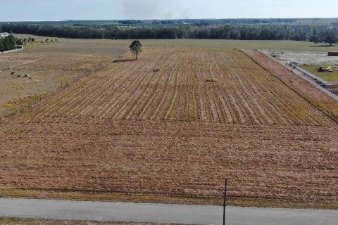 Terreno en venta en Fort Meade, Florida № 1564178 - foto 5