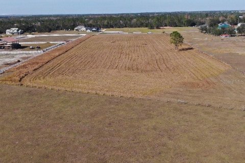 Terreno en venta en Fort Meade, Florida № 1564178 - foto 4
