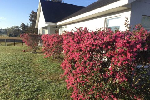 Casa en venta en Dunnellon, Florida, 3 dormitorios, 194.26 m2 № 1870975 - foto 8