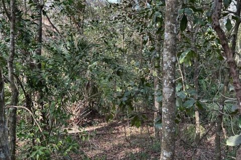 Land in Brooksville, Florida № 1784361 - photo 1