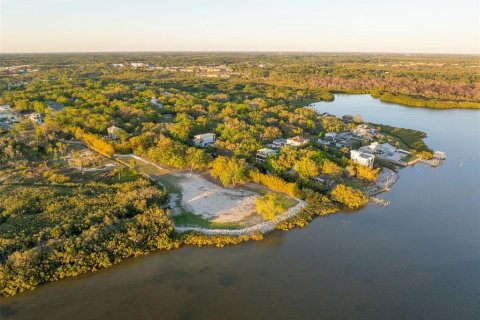 Terreno en venta en Tampa, Florida № 1583570 - foto 4