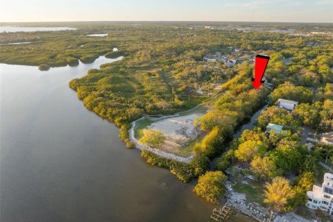 Terreno en venta en Tampa, Florida № 1583570 - foto 5