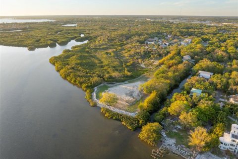 Terreno en venta en Tampa, Florida № 1583570 - foto 15