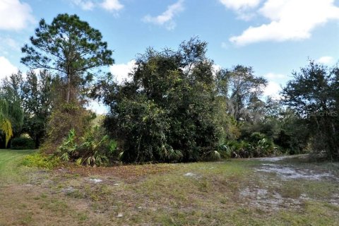 Land in North Port, Florida № 2158745 - photo 3