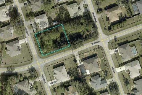 Land in Palm Coast, Florida № 1787413 - photo 1