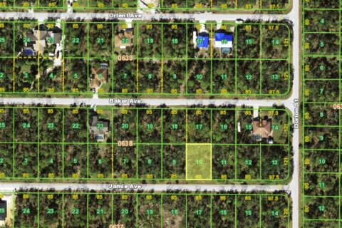 Land in Port Charlotte, Florida № 2161076 - photo 3