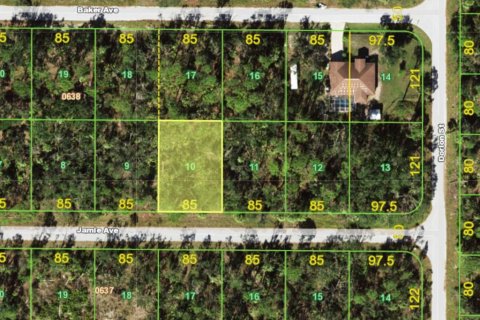 Land in Port Charlotte, Florida № 2161076 - photo 2