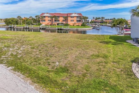 Land in Punta Gorda, Florida № 1090301 - photo 19