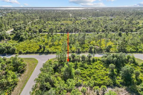 Land in Port Charlotte, Florida № 2163242 - photo 8