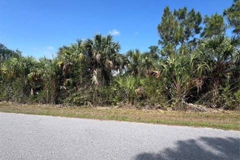 Land in Port Charlotte, Florida № 2163242 - photo 12