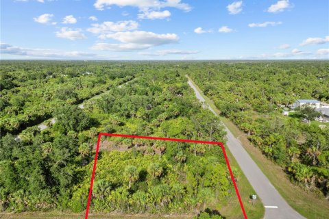 Land in Port Charlotte, Florida № 2163242 - photo 2