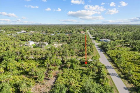 Land in Port Charlotte, Florida № 2163242 - photo 7