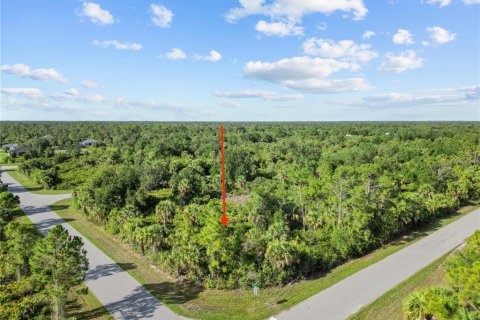 Land in Port Charlotte, Florida № 2163242 - photo 3