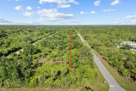 Land in Port Charlotte, Florida № 2163242 - photo 4