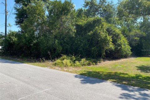 Land in Spring Hill, Florida № 2119328 - photo 2