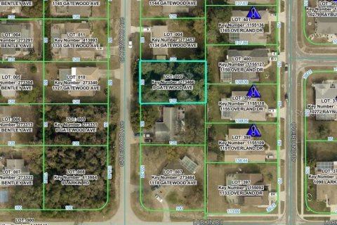Land in Spring Hill, Florida № 2119328 - photo 3