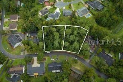 Land in Gainesville, Florida № 1906324 - photo 1